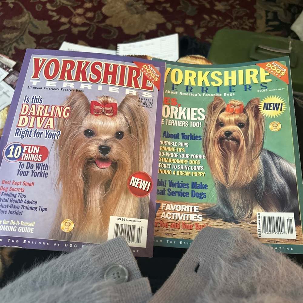 Lot of 2 Yorkshire Terrier Magazine by Dog Fancy
